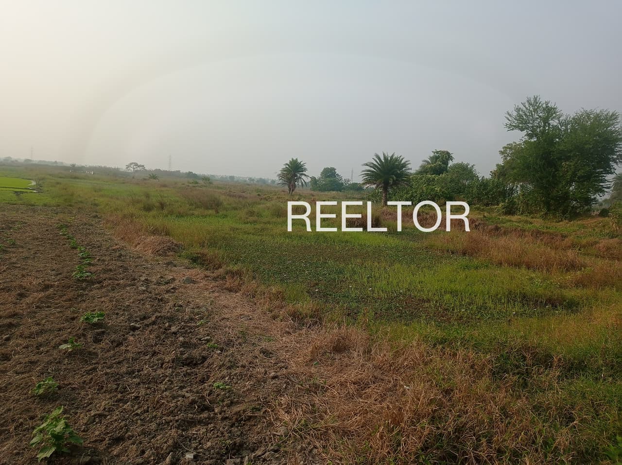 Plots For Rent In Ghatia Fala Simalwara