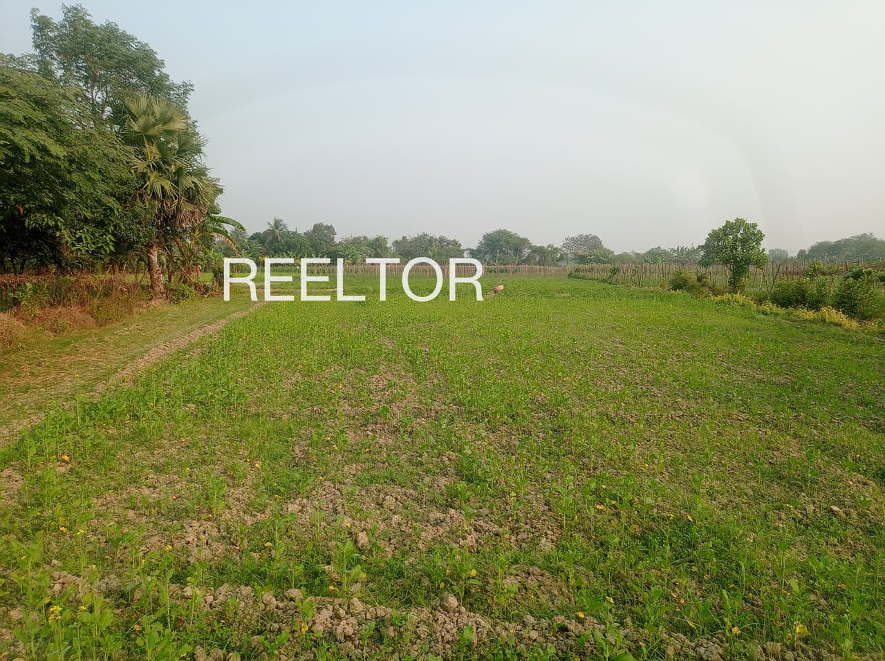 Plots For Rent In Chinnathambur Kilvelur