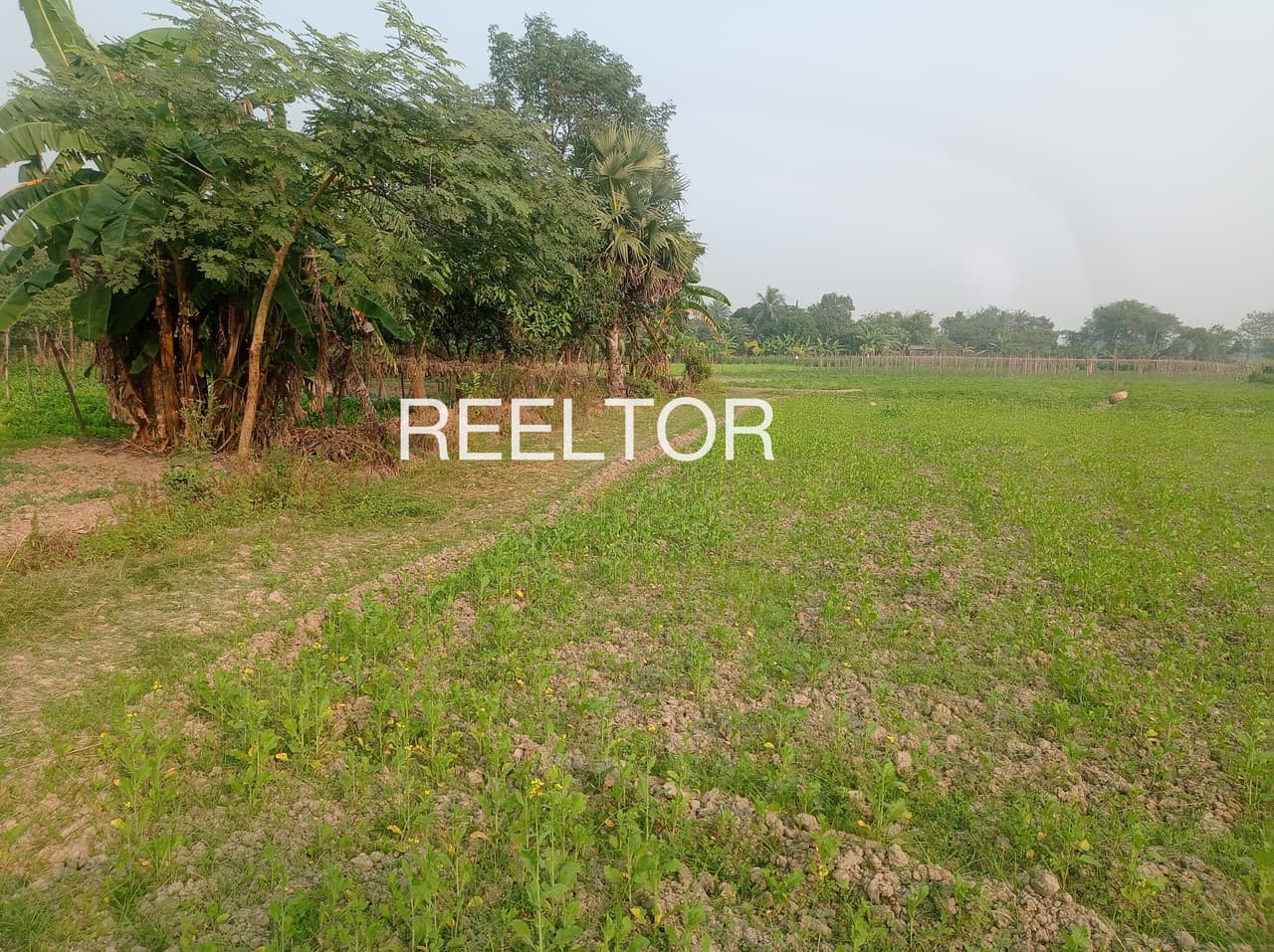 Plots For Rent In Larho Karsog