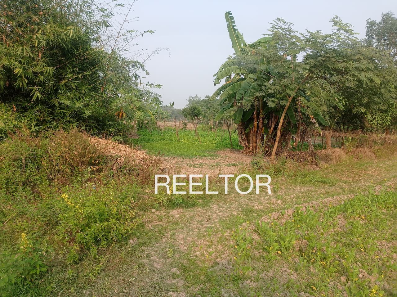 Plots For Rent In Gundanapalya Tumkur