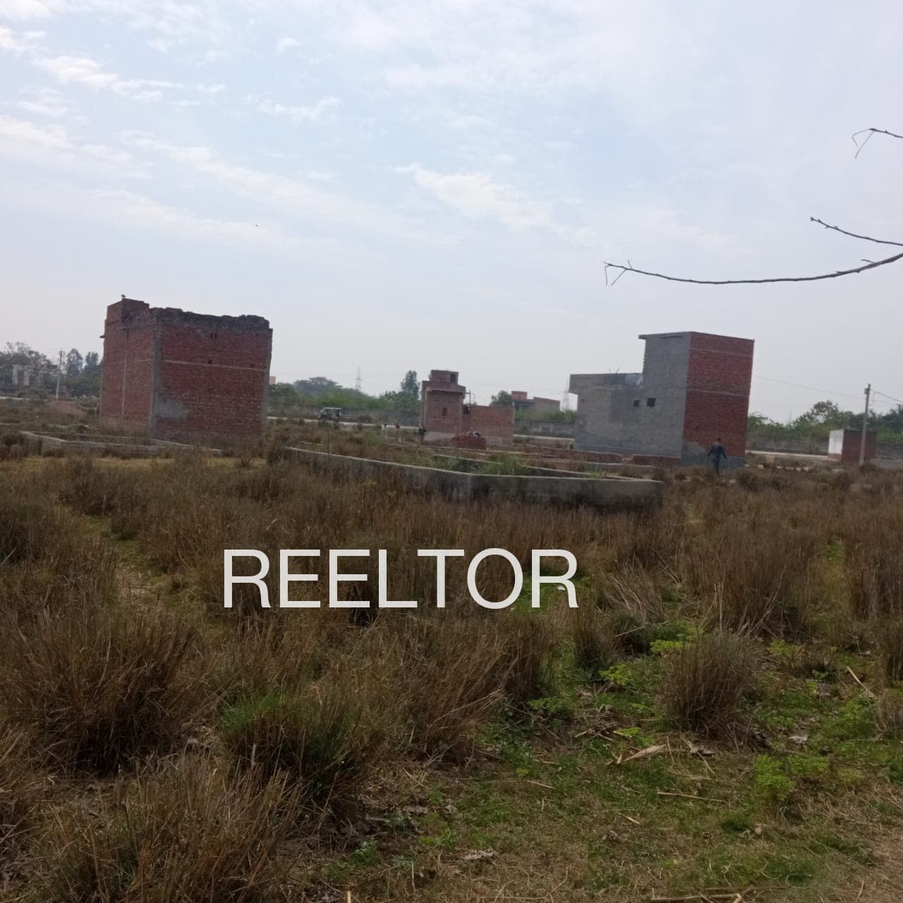Plots For Rent In Hariji Ka Khera Mandalgarh