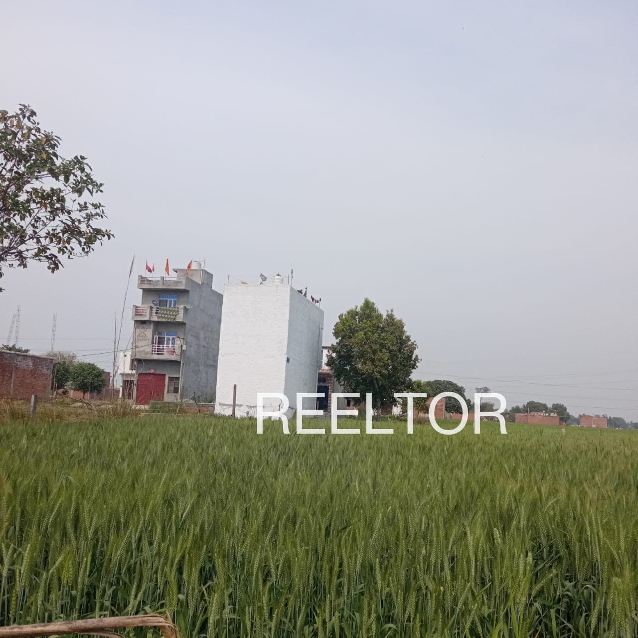 Plots For Rent In Mohtla Mandi