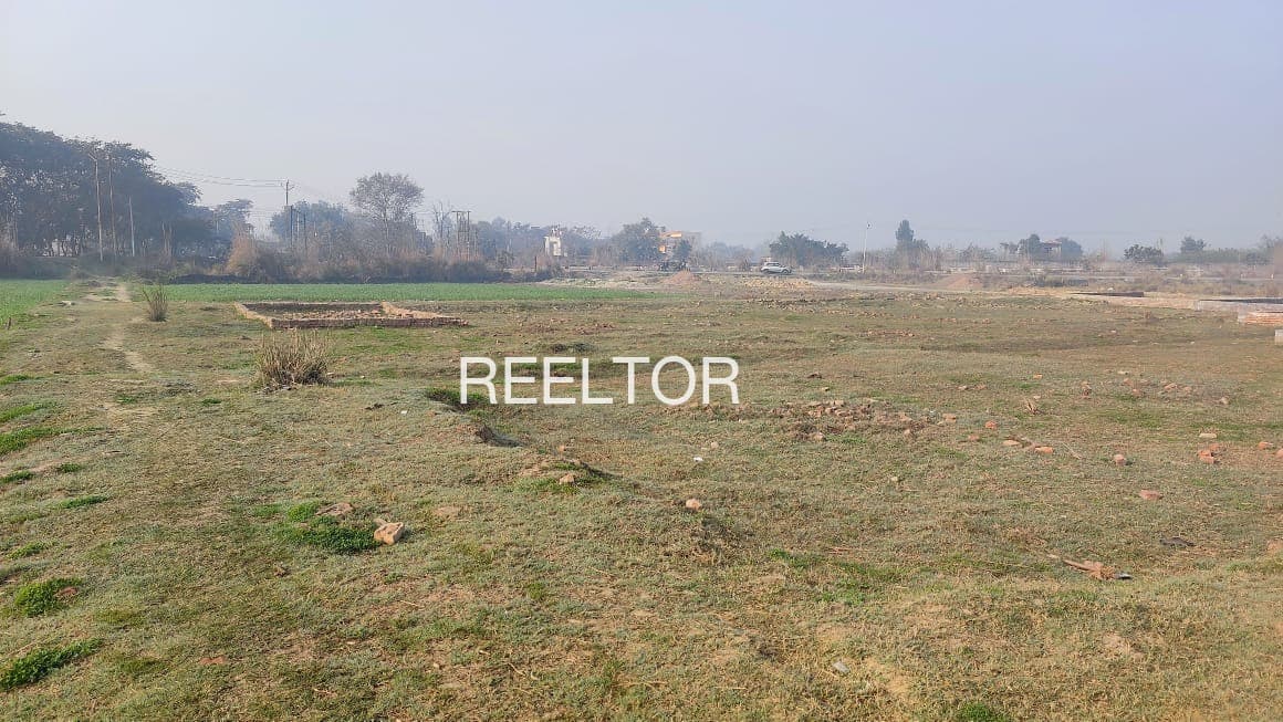 Plots For Rent In Lavhana Ghatanji