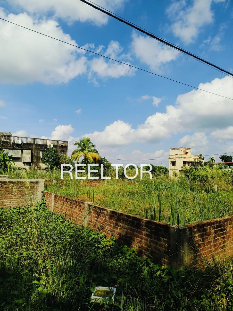 Plots For Rent In Balnerdhana Bhainsdehi