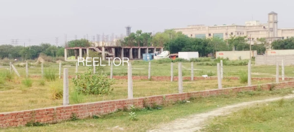 Plots For Rent In Thorlewadi Ahmadpur