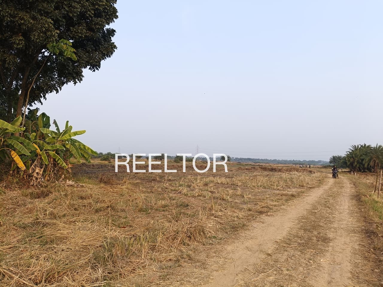 Plots For Rent In Sidkuna Gangolihat