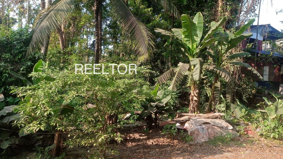 Plots For Rent In Garahu Nohra