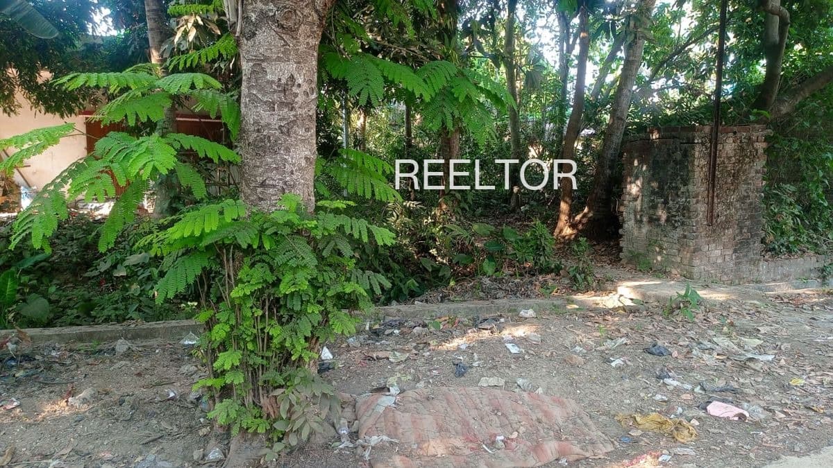 Plots For Rent In Nijamadi Shajapur