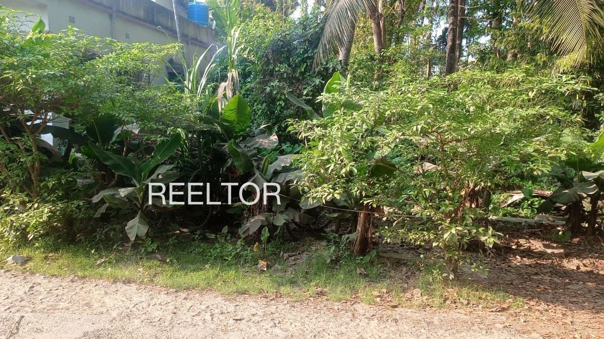 Plots For Rent In Valady Randam Kalinku Kuttanad