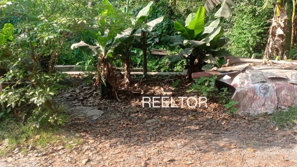 Plots For Rent In Nehcha Karsog