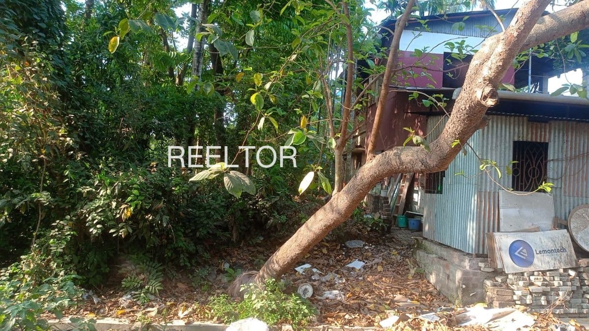 Plots For Rent In Manangudi Ramanathapuram