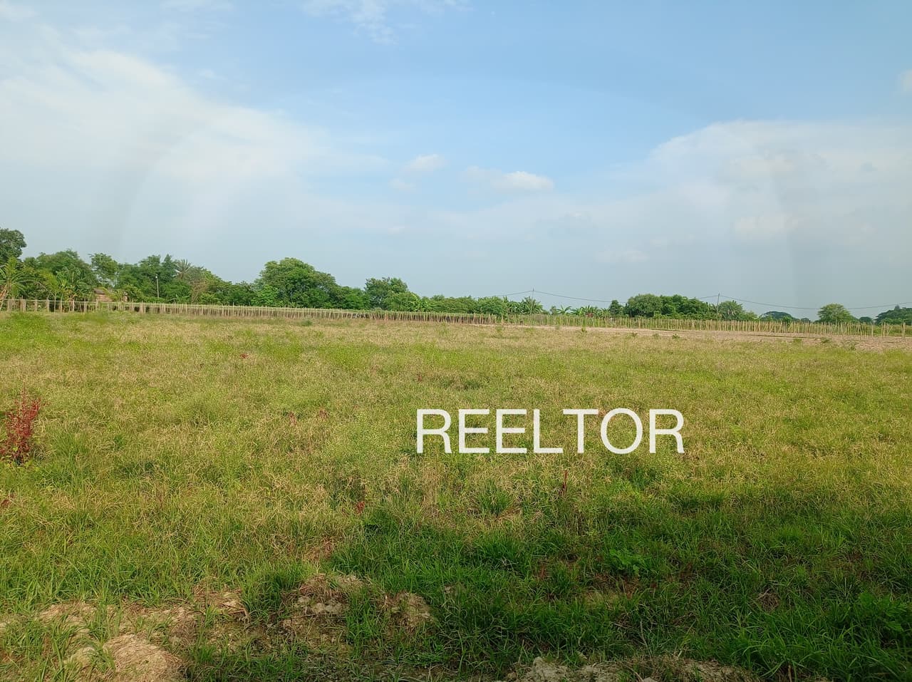 Plots For Rent In Kachnara Pratapgarh