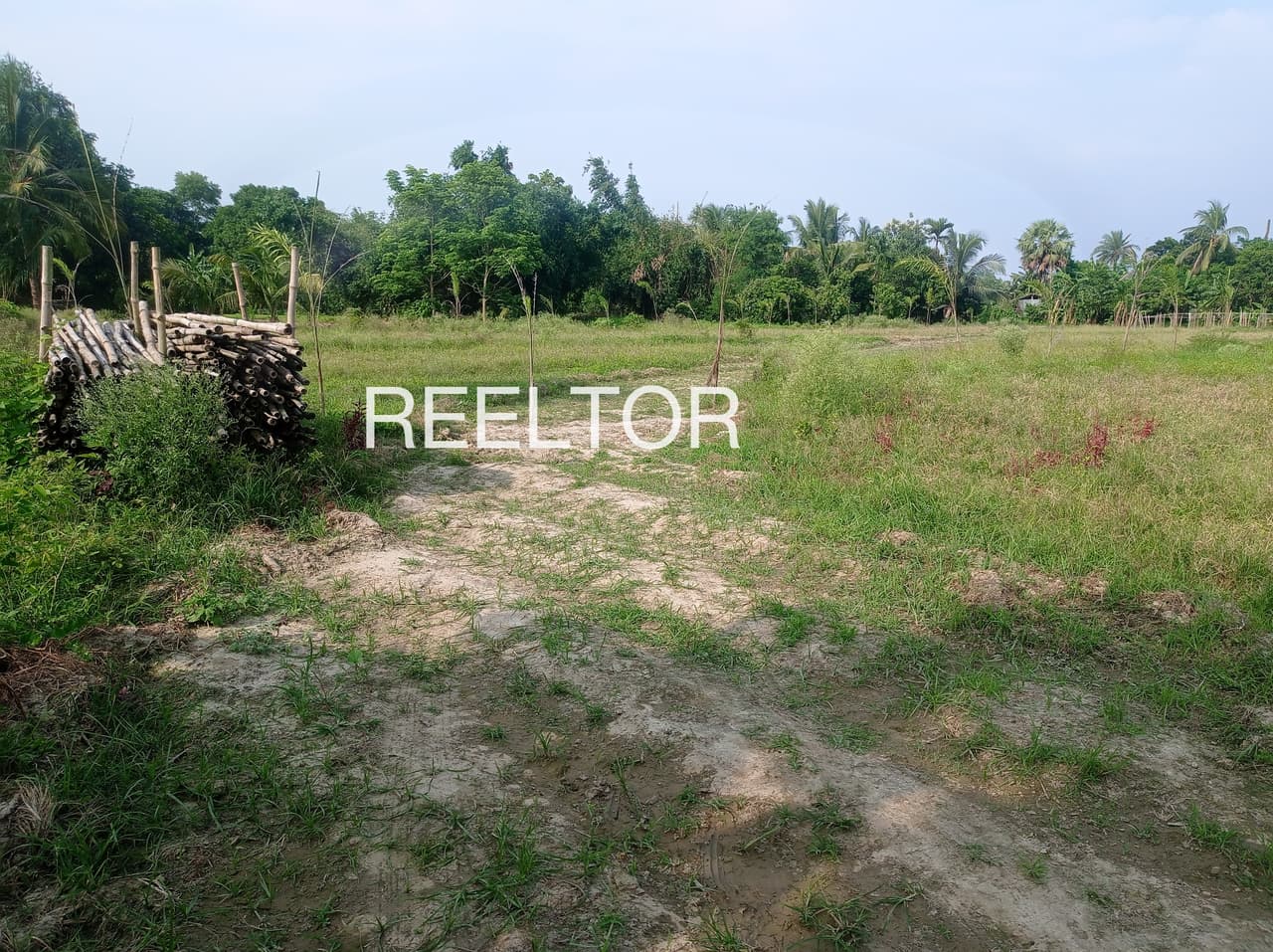 Plots For Rent In Shivpuri Moradabad