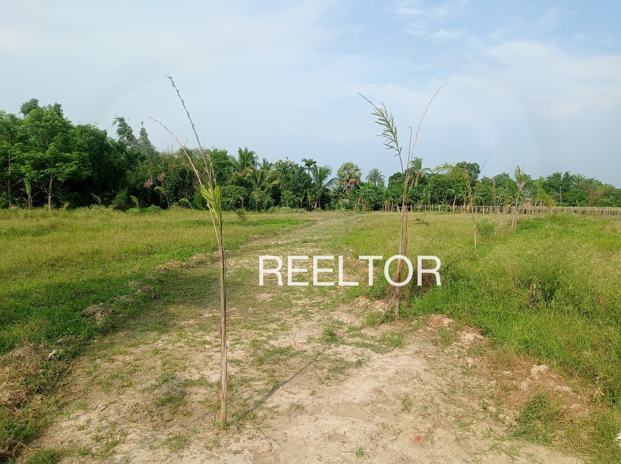 Plots For Rent In Kachnara Pratapgarh