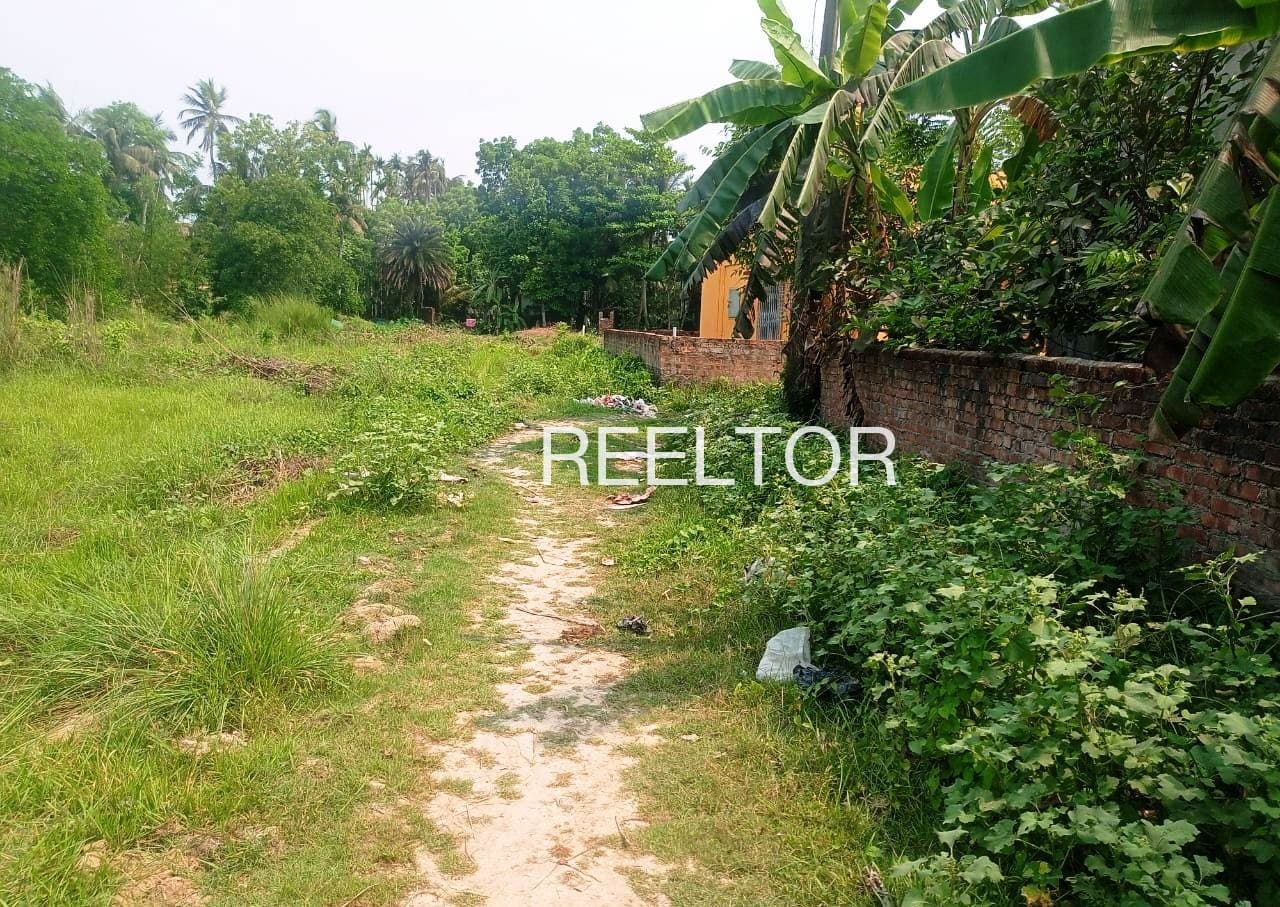 Plots For Rent In Pardi Bhainsdehi