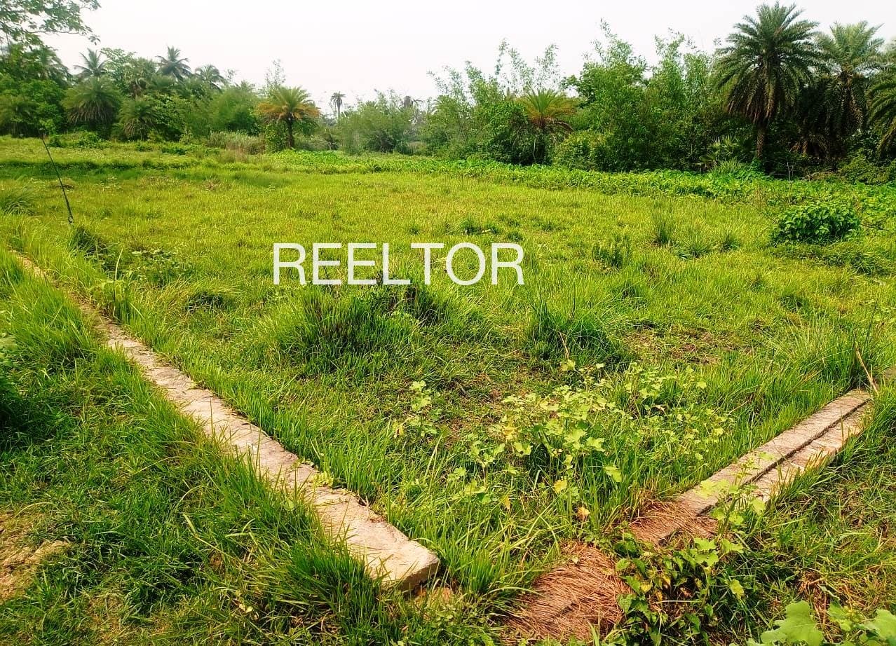 Plots For Rent In Pura Sattar Dhaulpur