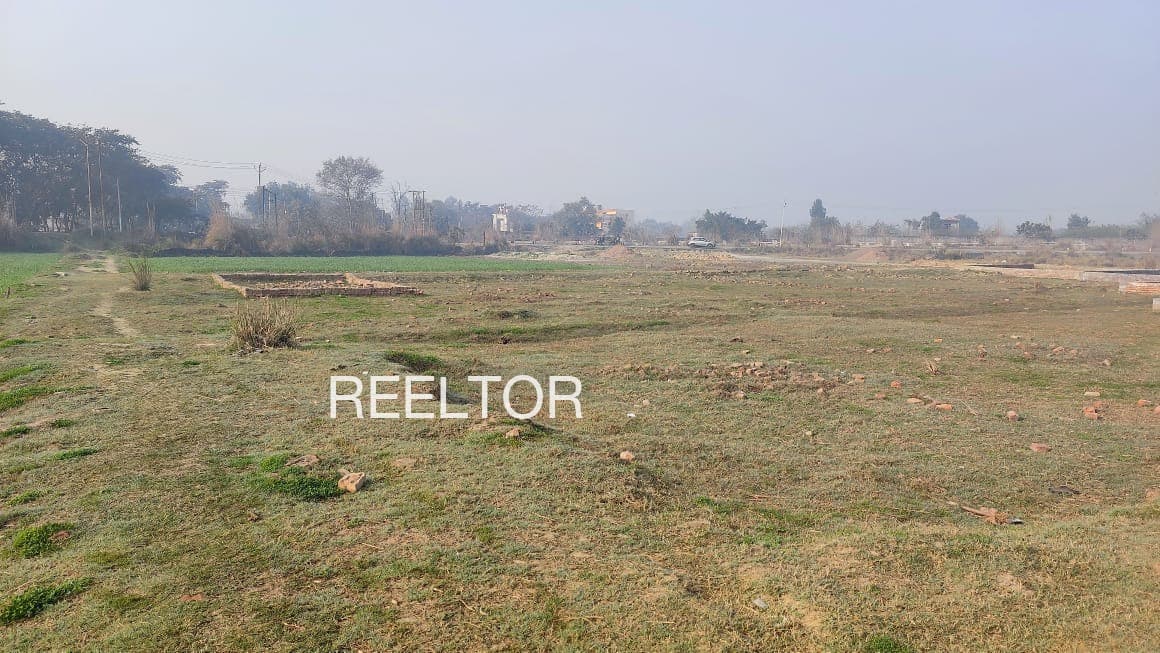 Plots For Rent In Sarauli Mirzapur