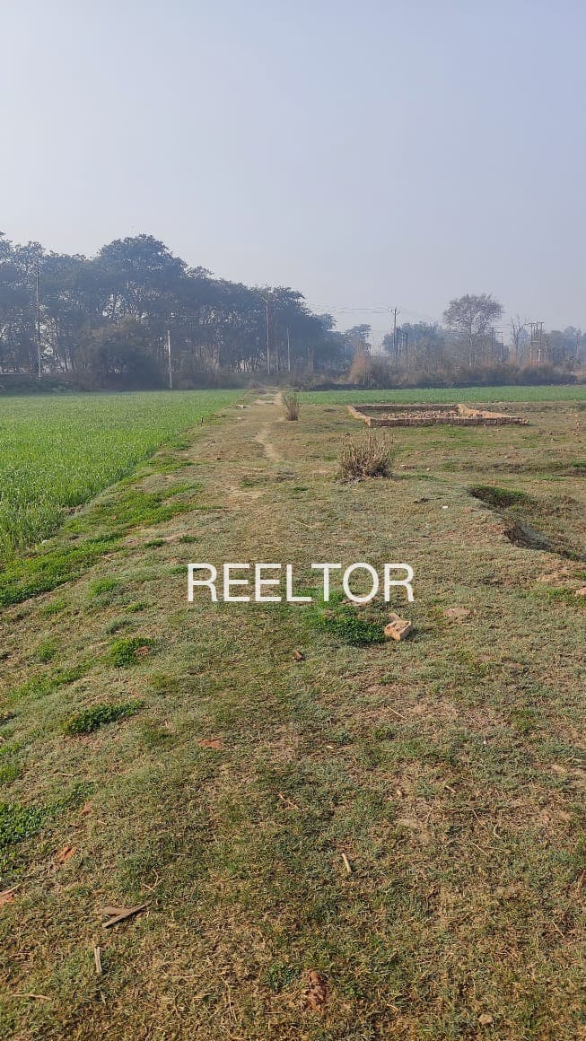 Plots For Rent In Jhalri Jubbal