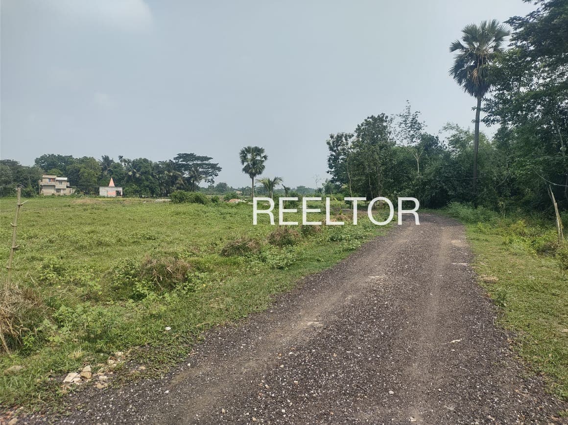 Plots For Rent In Jambharun Parande Washim