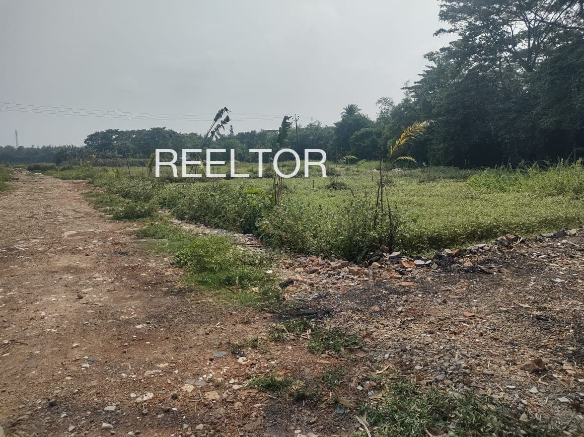 Plots For Rent In Erandwadgaon Jalna