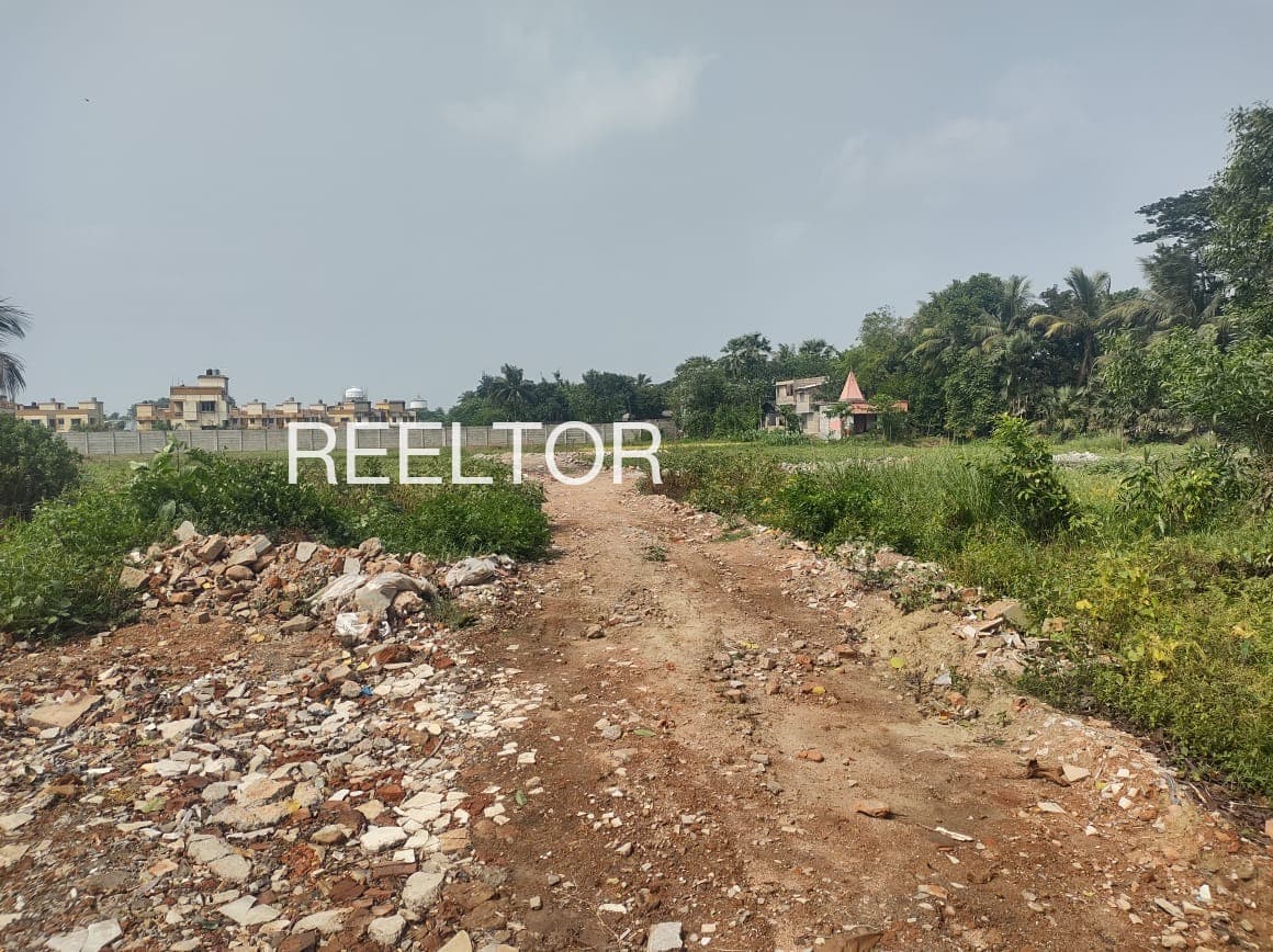 Plots For Rent In Thalavady Ambalappuzha