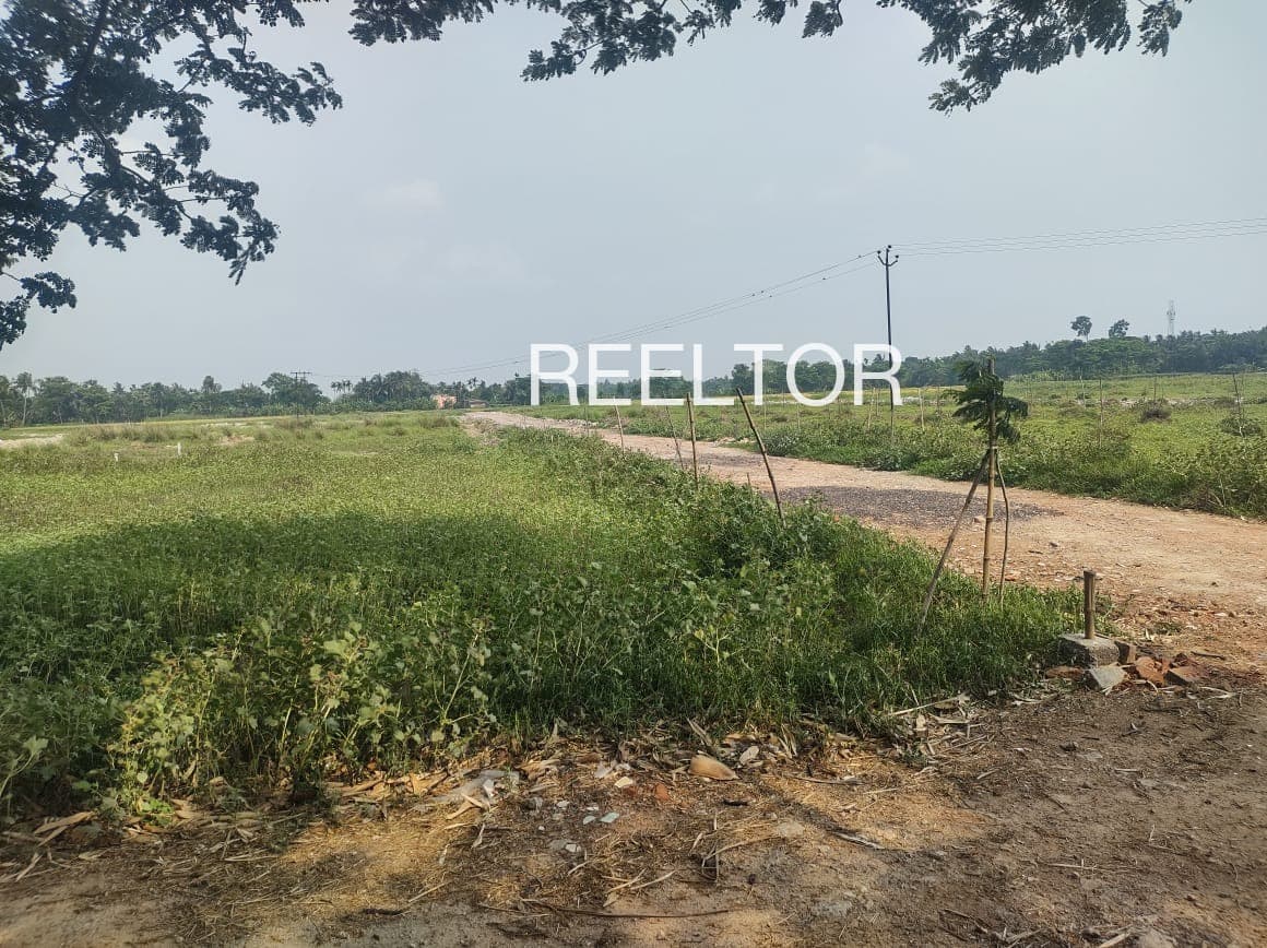 Plots For Rent In Safilpur Bilari