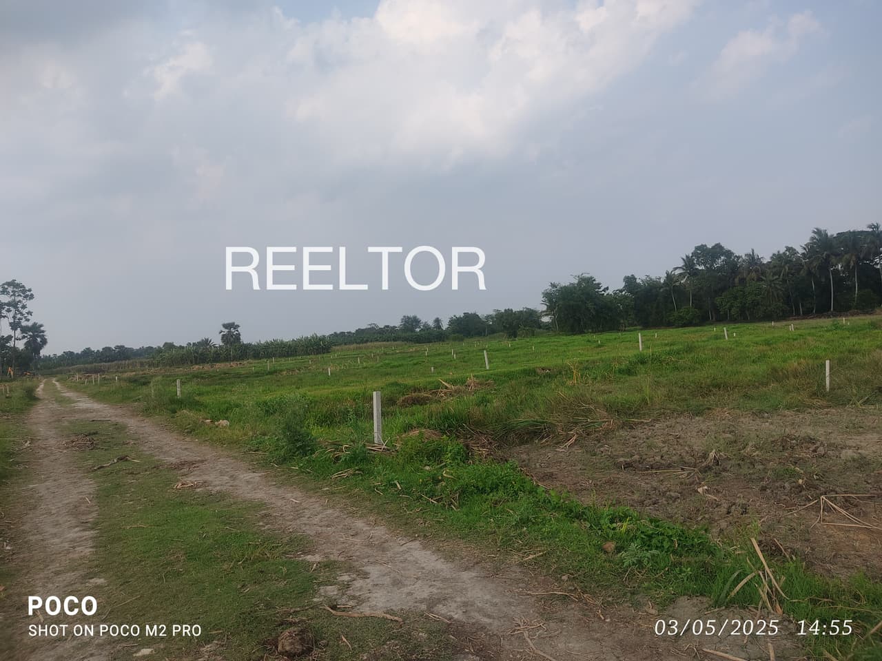 Plots For Rent In Zilmili Gondiya