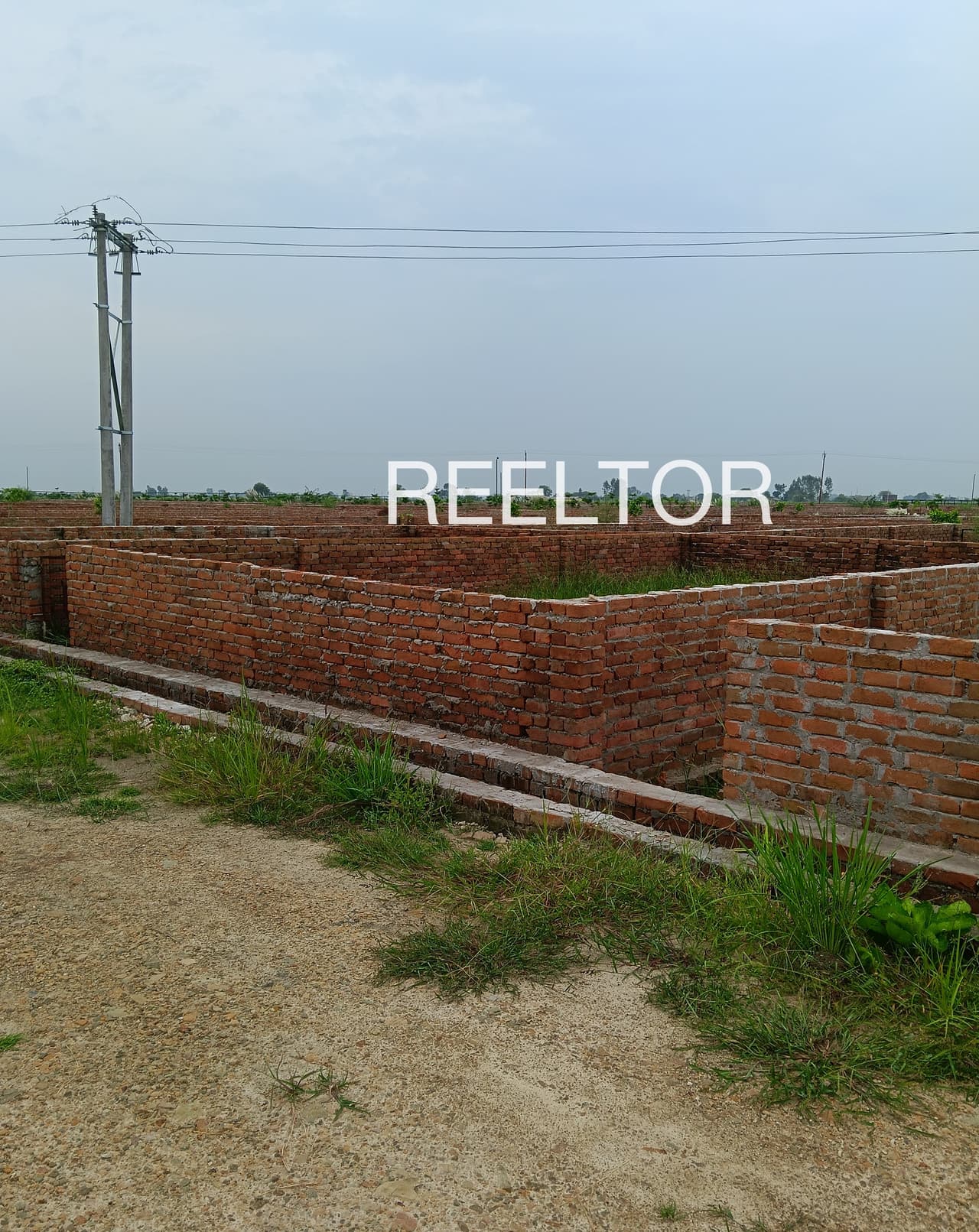 Plots For Rent In Pura Prashsukh Sepau