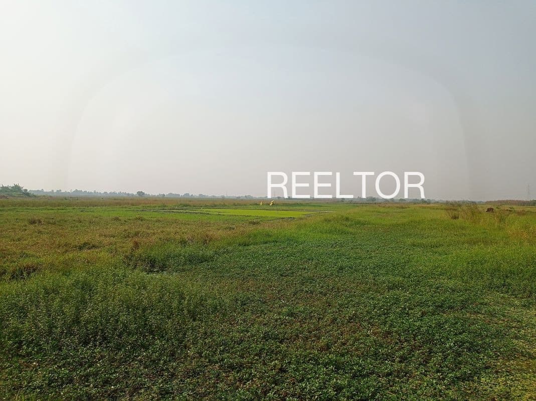 Plots For Rent In Kuttikadu Rasipuram