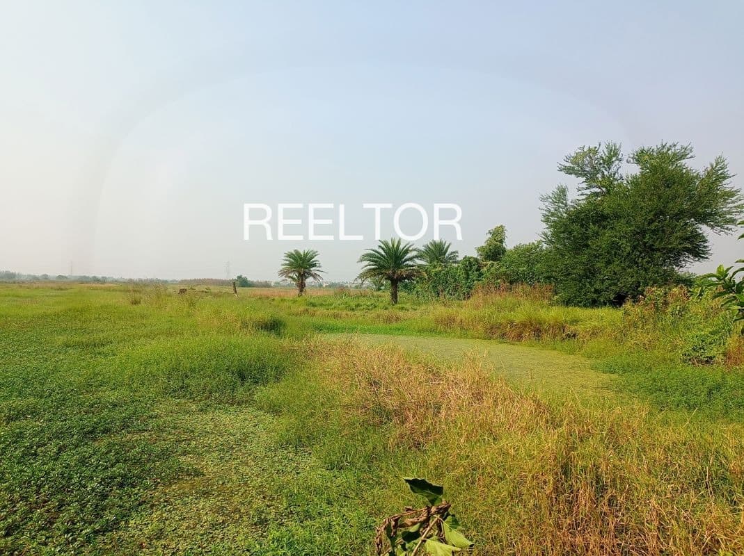 Plots For Rent In Amaltne Nandurbar