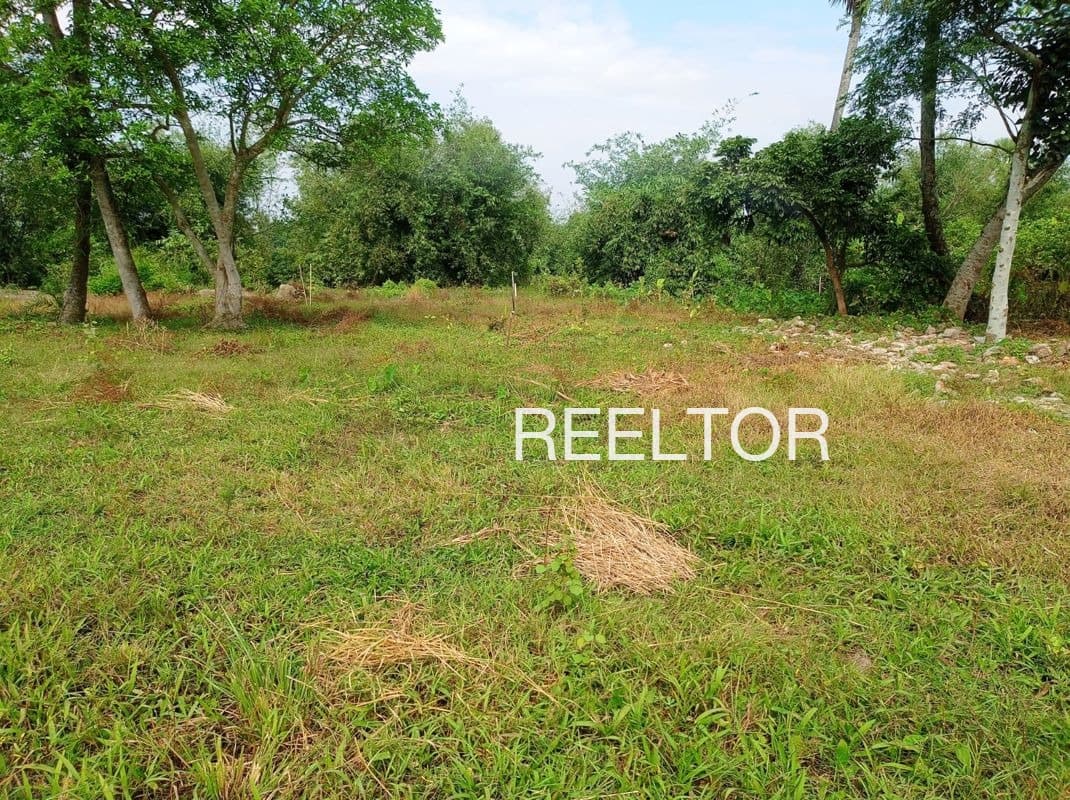 Plots For Rent In Nilegavhal Naigaon