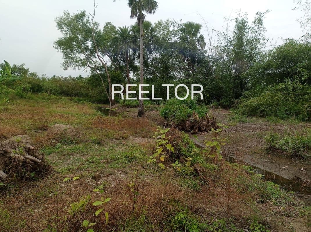 Plots For Rent In Ambaduk Shirpur