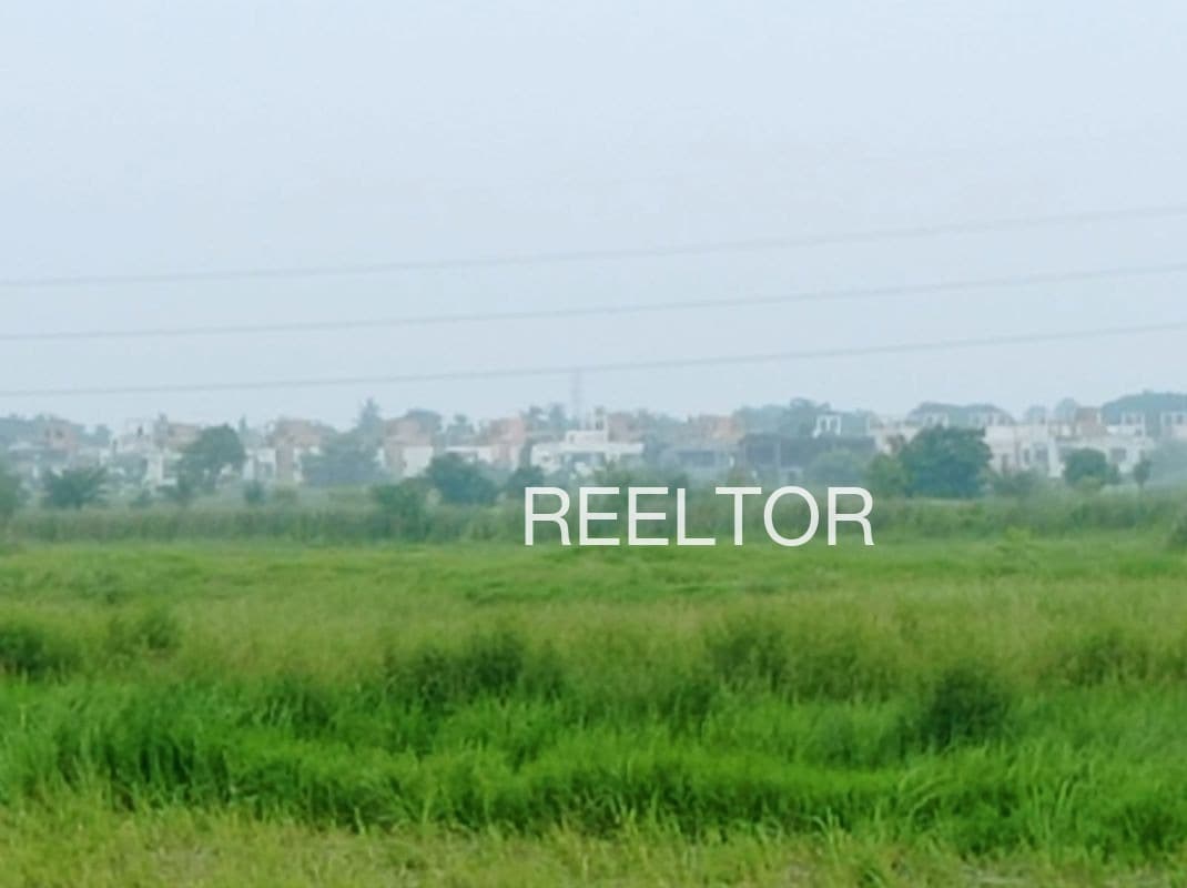 Plots For Rent In Udaypur Ajaigarh