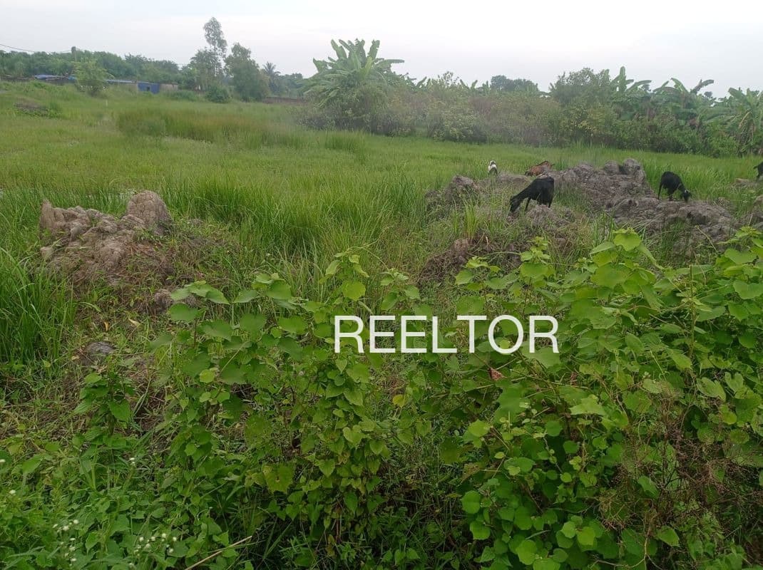 Plots For Rent In Athiranviduthi Karambakudi