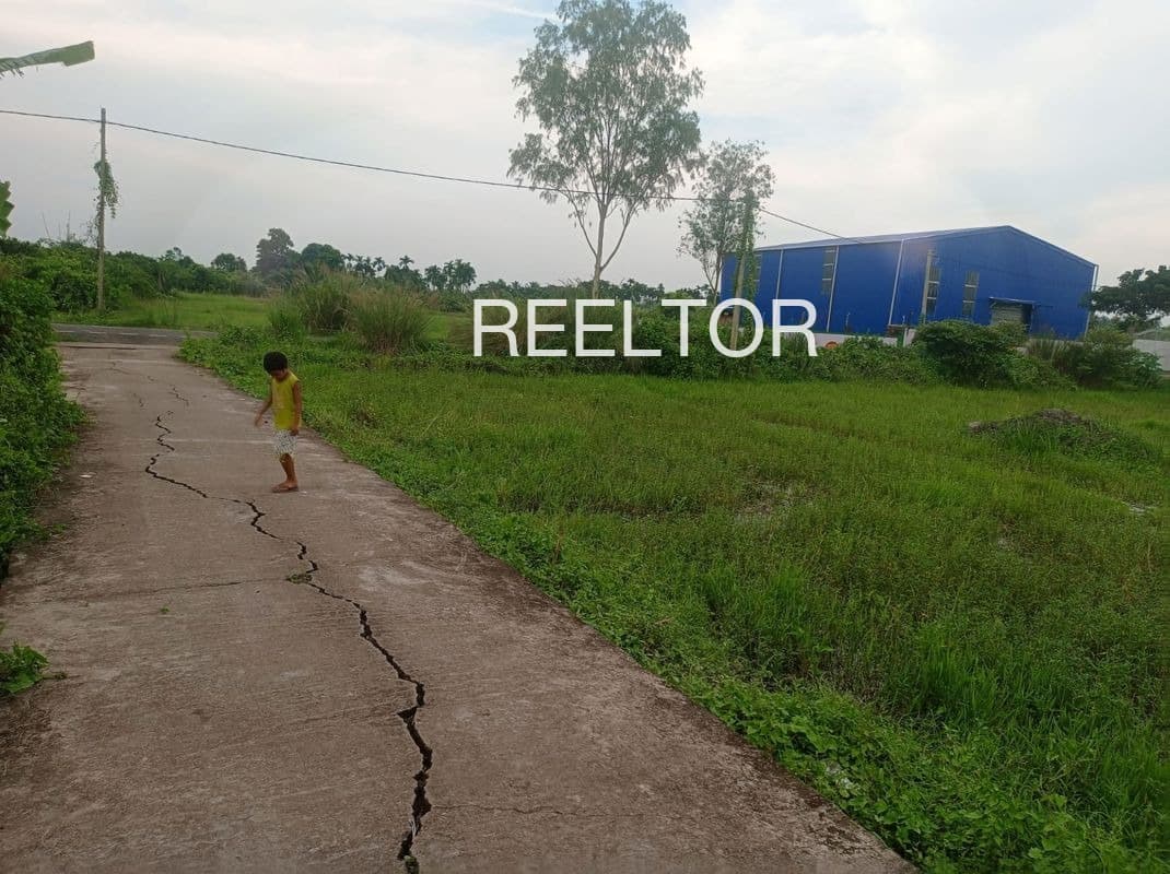 Plots For Rent In Dhanawade Ratnagiri