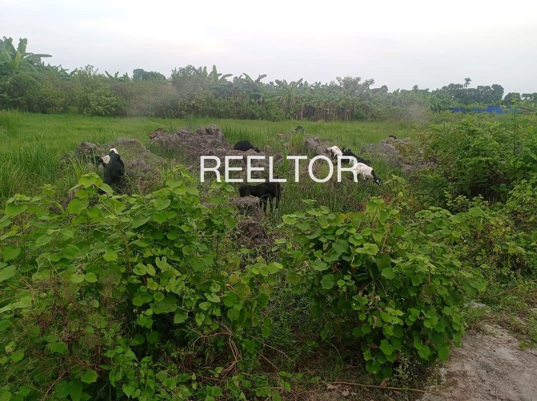 Plots For Rent In Gashtwar Nagrota Bagwan