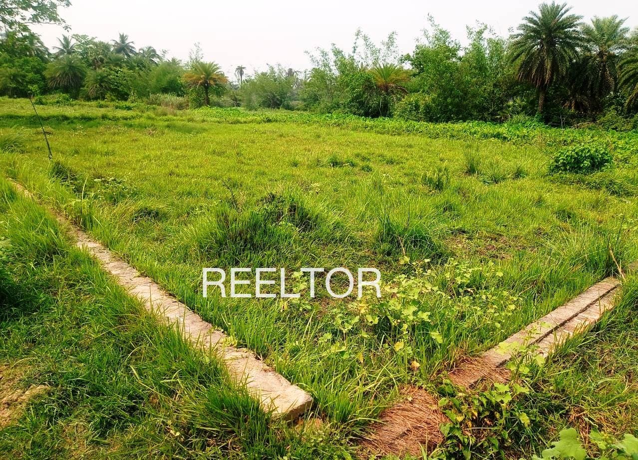 3 Bhk Properties For Rent In Majbak Singh Ka Pura Mau Tahsil