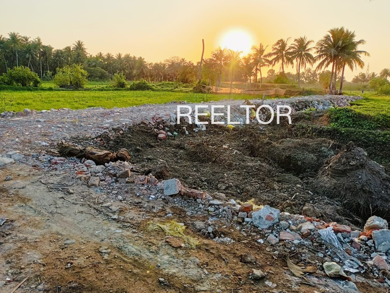 Plots For Rent In Mundjori Lachhmangarh