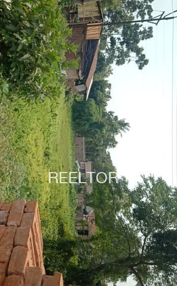 Plots For Rent In Narhat Thanagazi