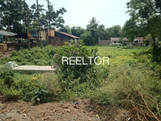Plots For Rent In Bandokaput Nandapur