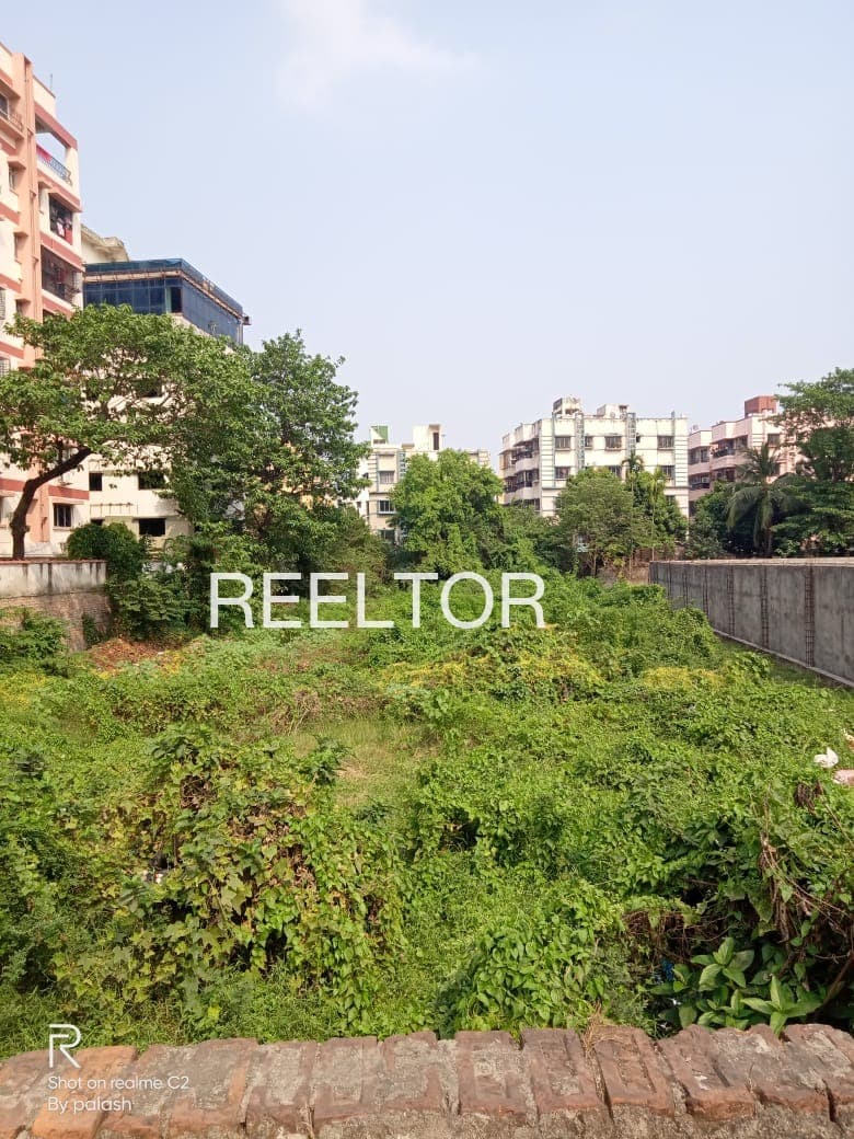 Plots For Rent In Sundroli Dhoomakot
