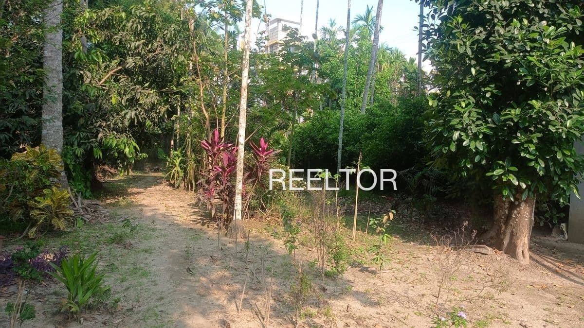 Plots For Rent In Kacharwadi Igatpuri