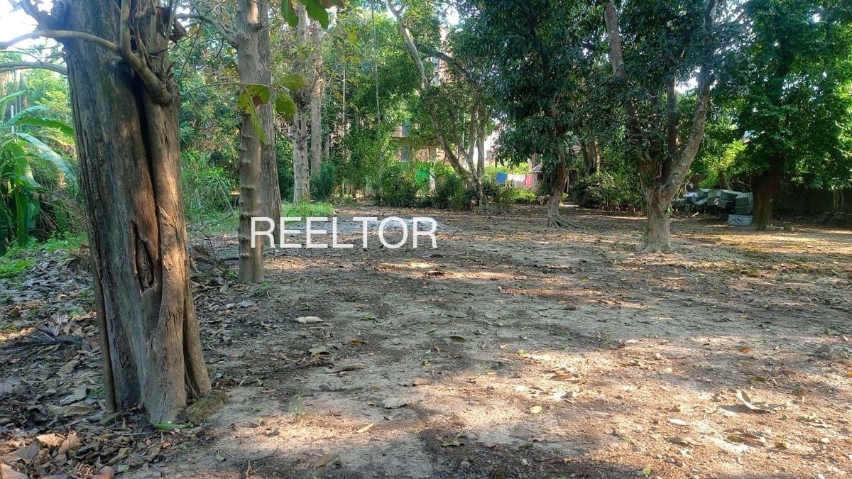 Plots For Rent In Shillh Mandi