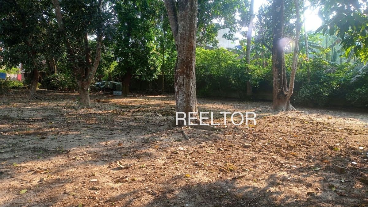 Plots For Rent In Sarafojinagar Thanjavur