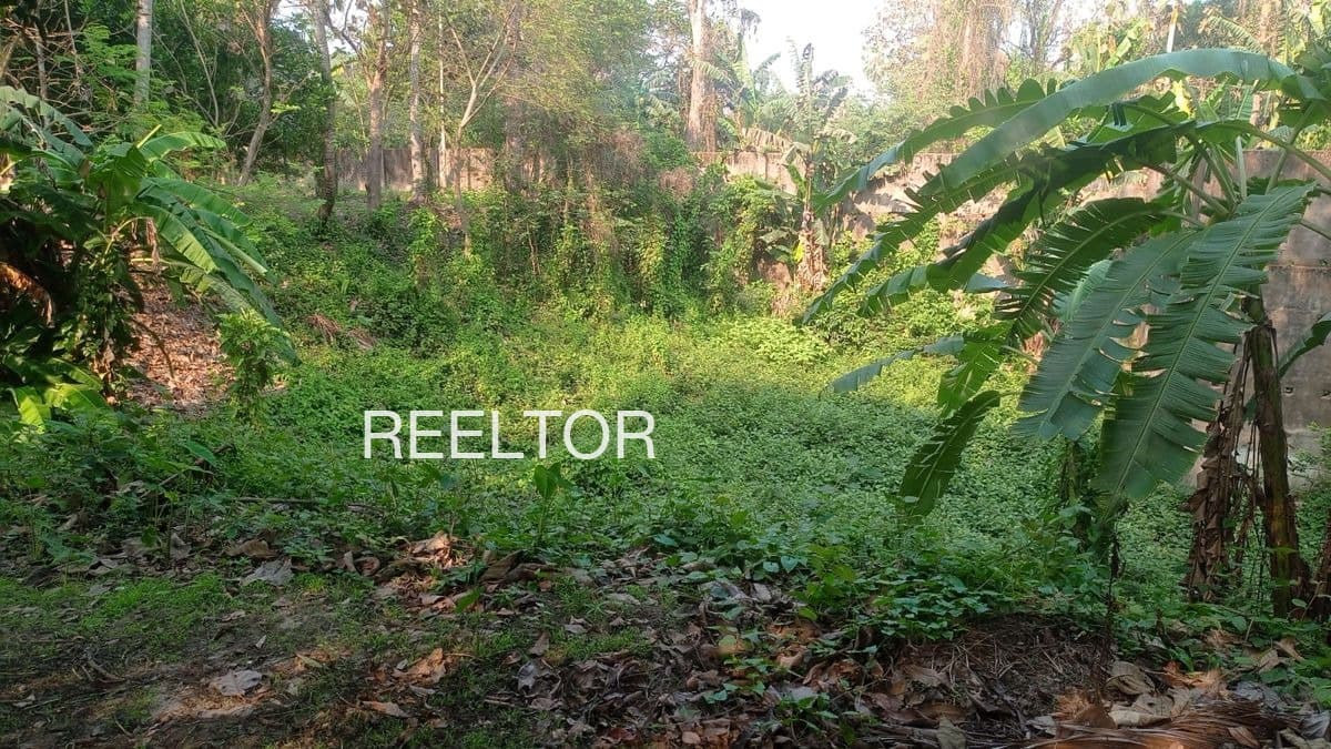 Plots For Rent In Shobhala Darsan Dhanaoo