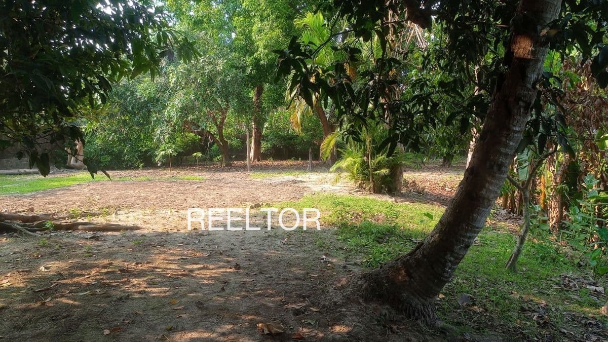 Plots For Rent In Anandwadi Av Nilanga