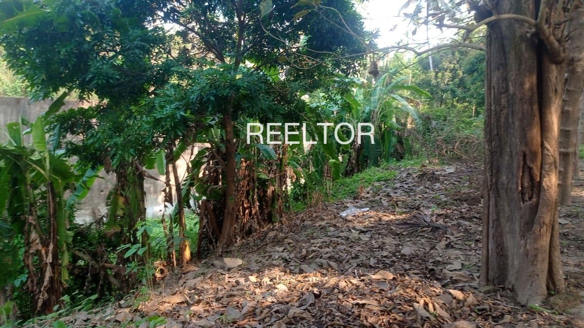 Plots For Rent In Singikulam Nanguneri
