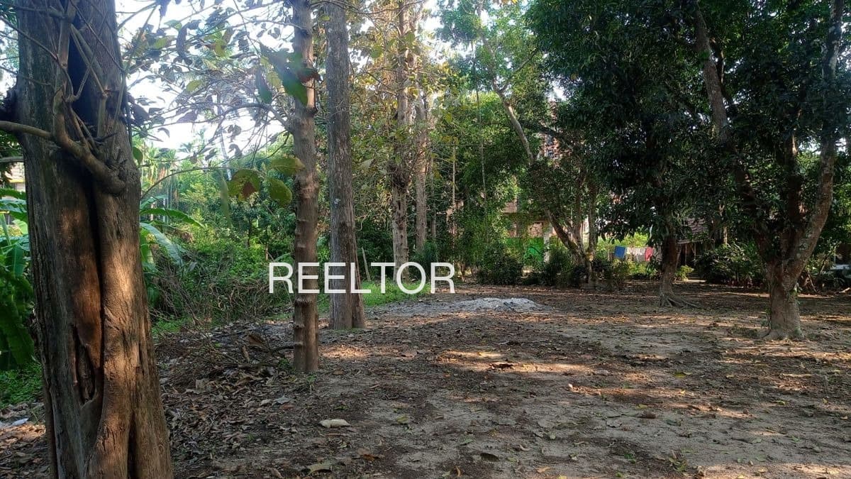 Plots For Rent In Kakarghata Moradabad