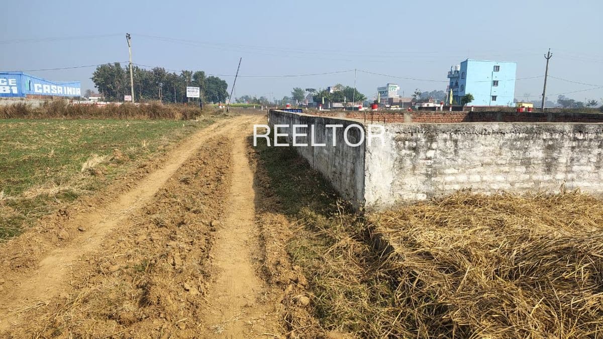 Plots For Rent In Mehbubganj Faizabad
