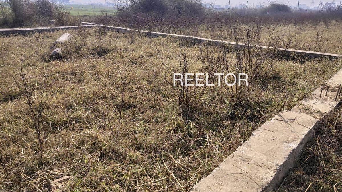 Plots For Rent In Churchphali Navapur